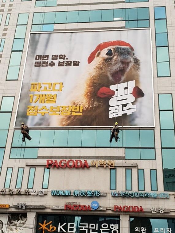 파고다어학원 강남역점 /11×13m 제작ㆍ시공