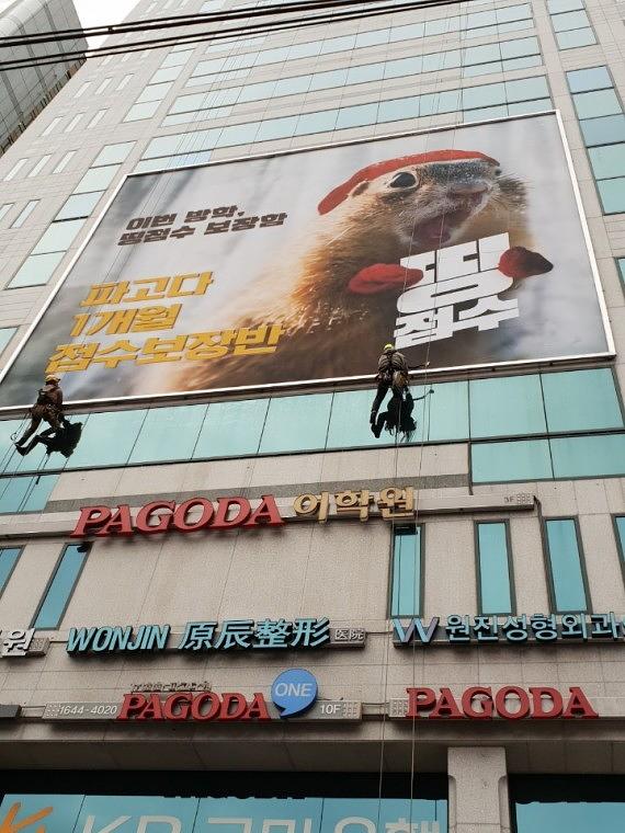 파고다어학원 강남역점 /11×13m 제작ㆍ시공
