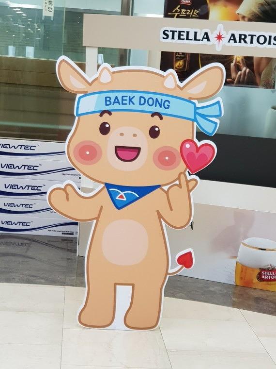 IBK 등신대 포맥스(8T)