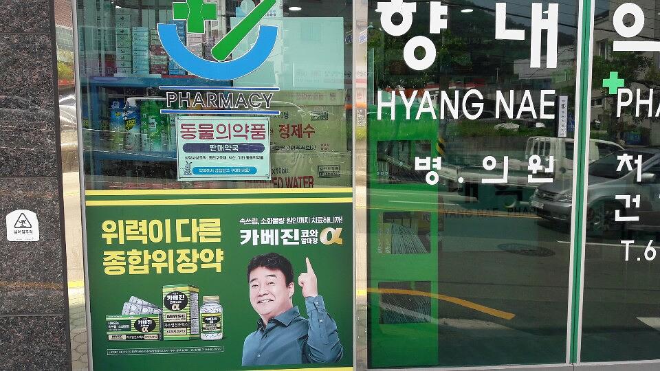 약국랩핑 한국코와 카베진 알파 부산 40개 약국 시공