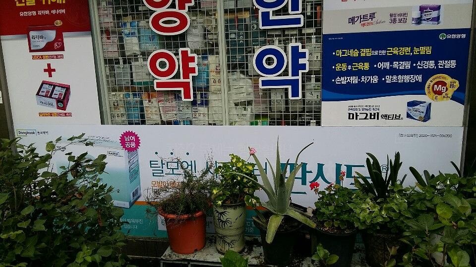 동국제약건 전국랩핑 300곳 제작 및 시공 (전라,충청,제주)