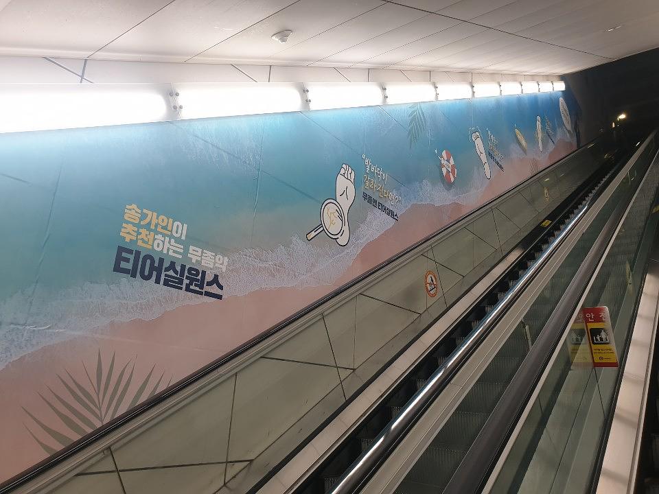 신논현역 5번 6번 출구 방염시트 제작 및 시공