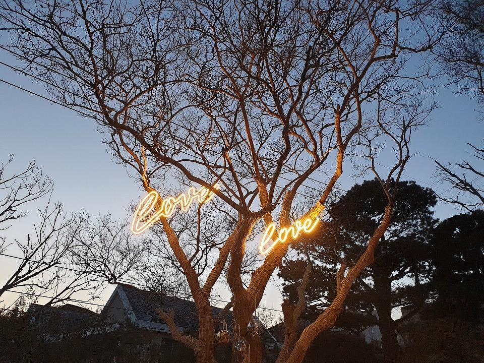 크리스마스 트리 제작 시공