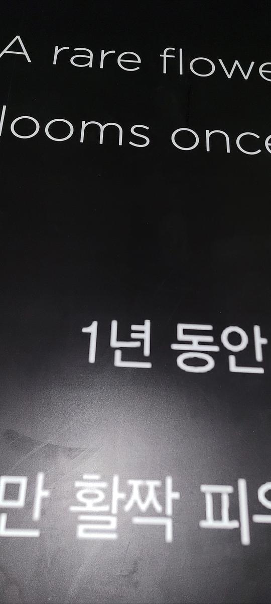3월8일. 삼성동 언커먼 제작및시공