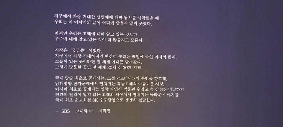 11/16 파라다이스 호텔 고래와 나 제작 및 시공
