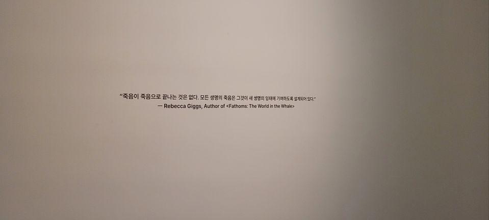 11/22 파라다이스호텔 고래와 나 추가 제작 및 시공