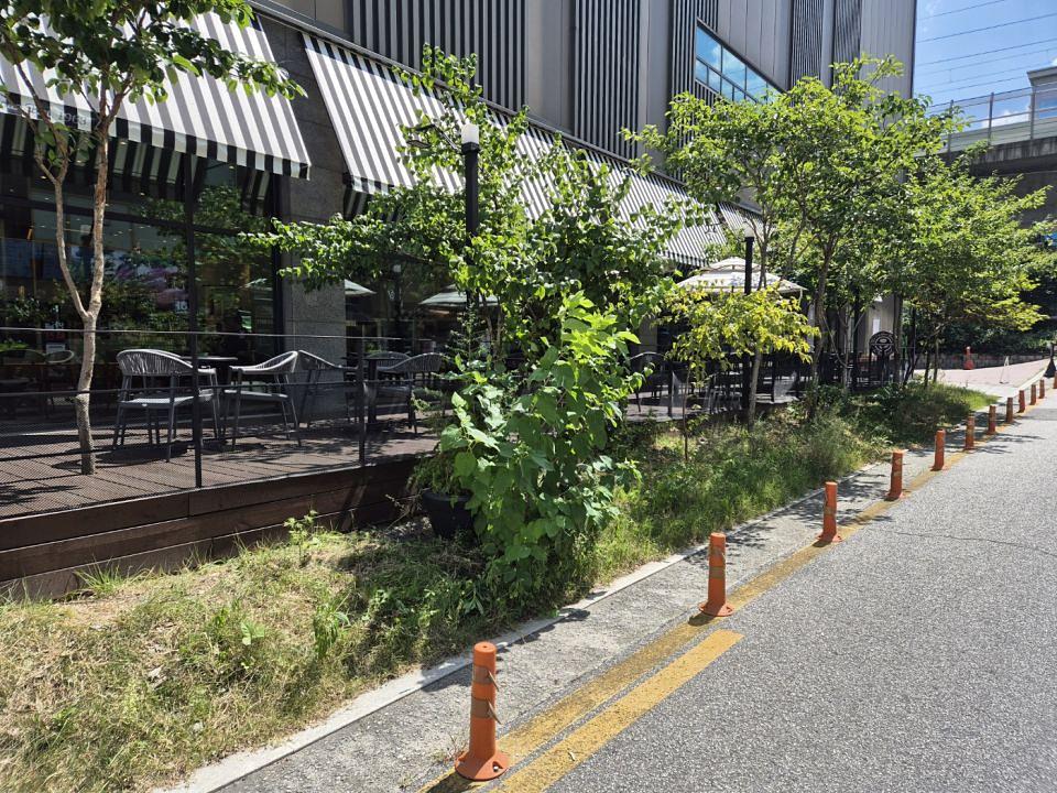 8/19 커피빈 춘천온의점 제작 및 시공