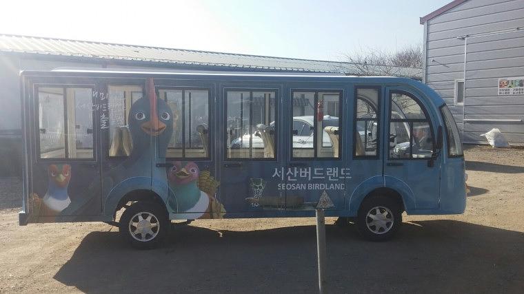 서산 버드랜드 전기차버스 풀랩핑 2대