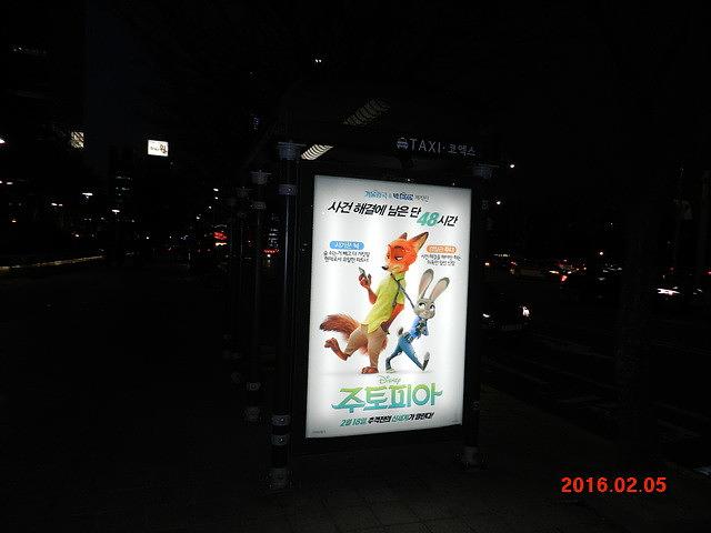 주토피아 버스승강장 광고 와이드칼라 시공사진
