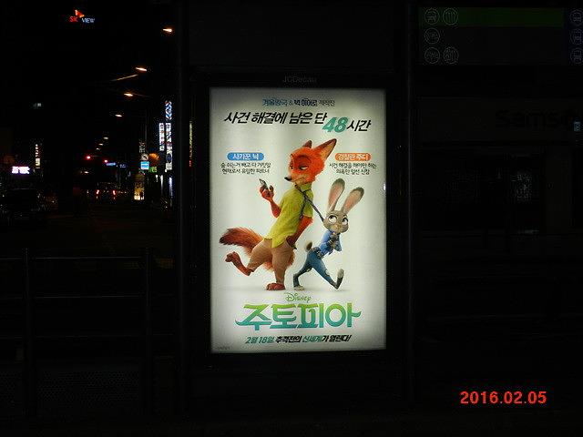 주토피아 버스승강장 광고 와이드칼라 시공사진