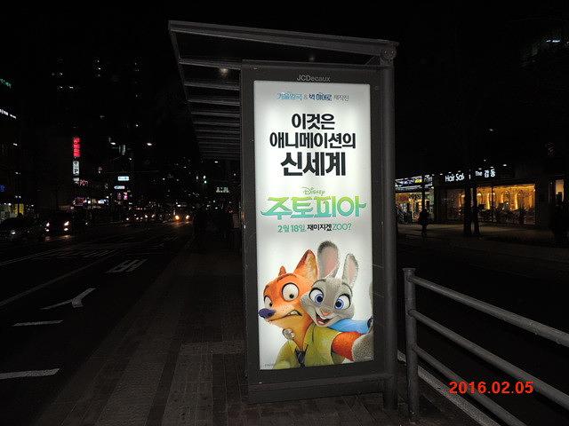 주토피아 버스승강장 광고 와이드칼라 시공사진
