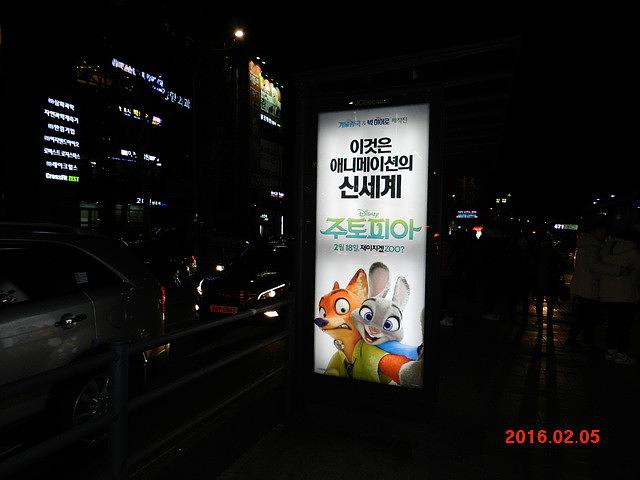 주토피아 버스승강장 광고 와이드칼라 시공사진