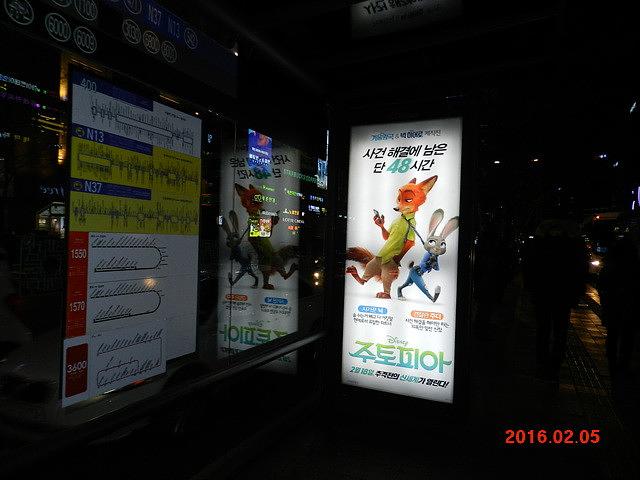 주토피아 버스승강장 광고 와이드칼라 시공사진