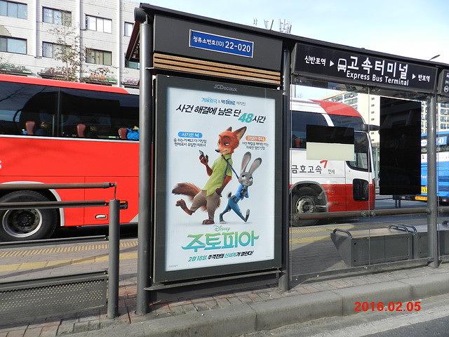주토피아 버스승강장 광고 와이드칼라 시공사진
