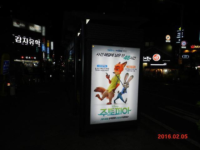 주토피아 버스승강장 광고 와이드칼라 시공사진