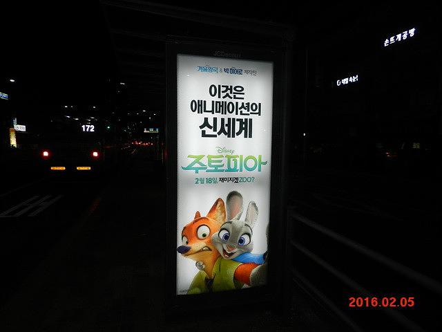 주토피아 버스승강장 광고 와이드칼라 시공사진