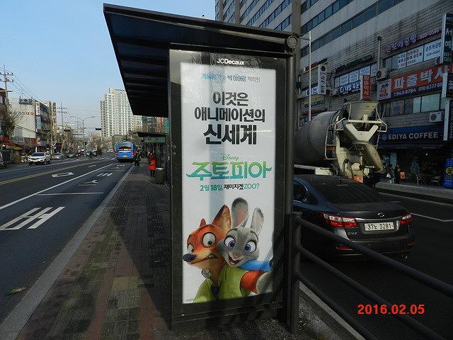 주토피아 버스승강장 광고 와이드칼라 시공사진
