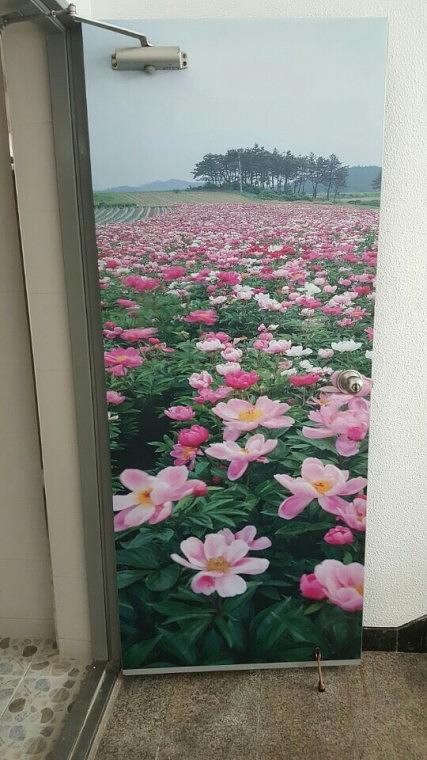 무역회사 사무실 실내 썬팅+엠보시트 시공