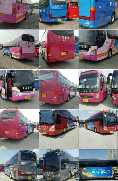 백석대학교 버스 50대 양측면 랩핑