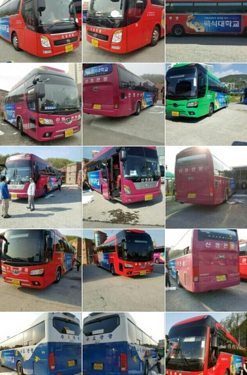 백석대학교 버스 50대 양측면 랩핑