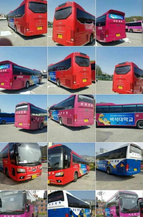 백석대학교 버스 50대 양측면 랩핑