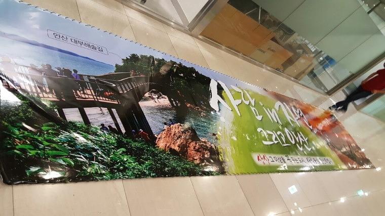 안산시 홍보 대형 후렉스