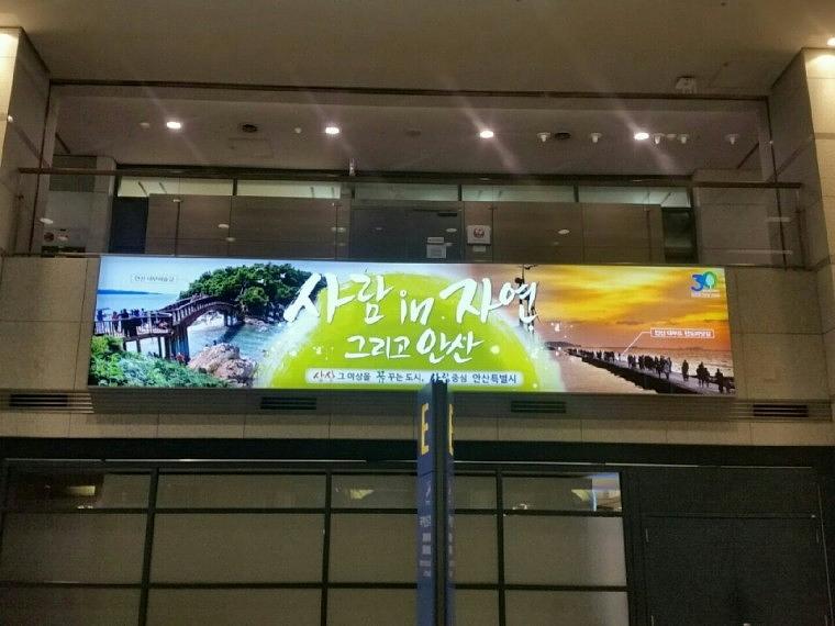 안산시 홍보 대형 후렉스