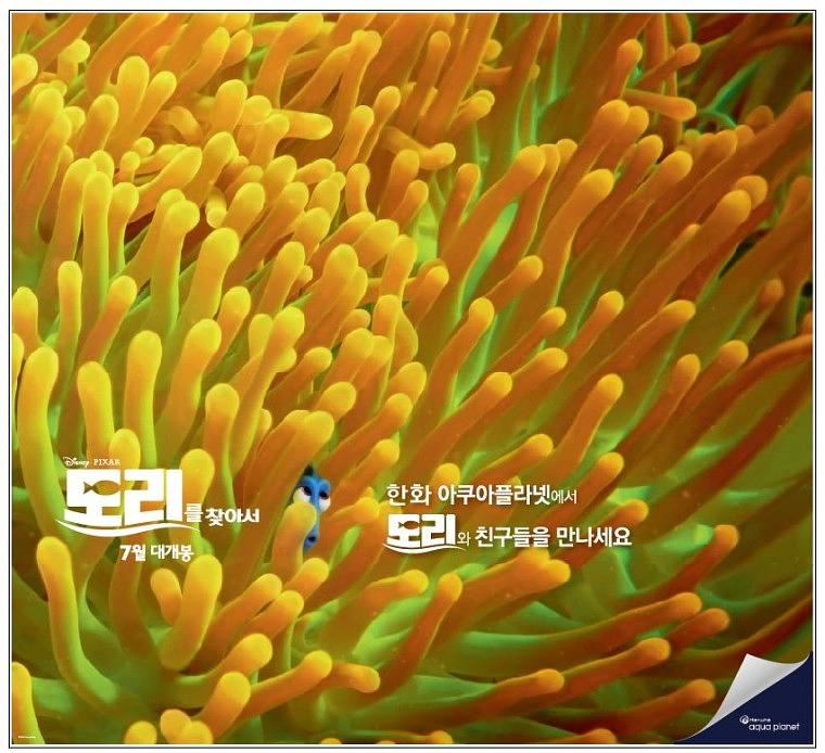 한화 아쿠아플래닛 시트지 대량출력