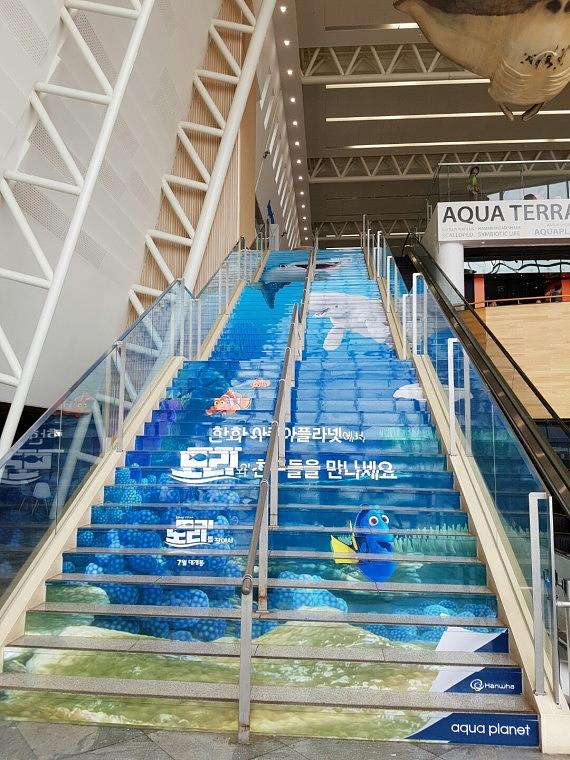 제주도 아쿠아플래닛 계단랩핑, 수족관 랩핑