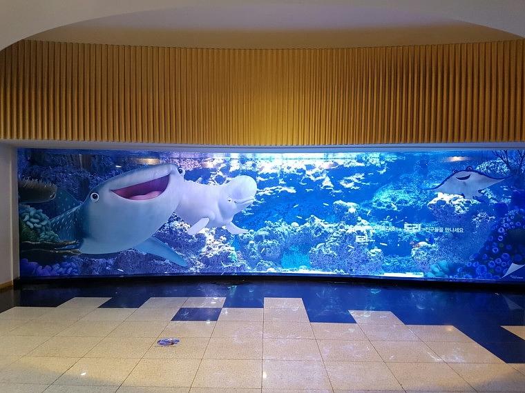 제주도 아쿠아플래닛 계단랩핑, 수족관 랩핑