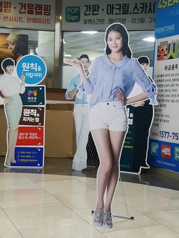테드앤 모델 등신대 (60cm x 1.8M)