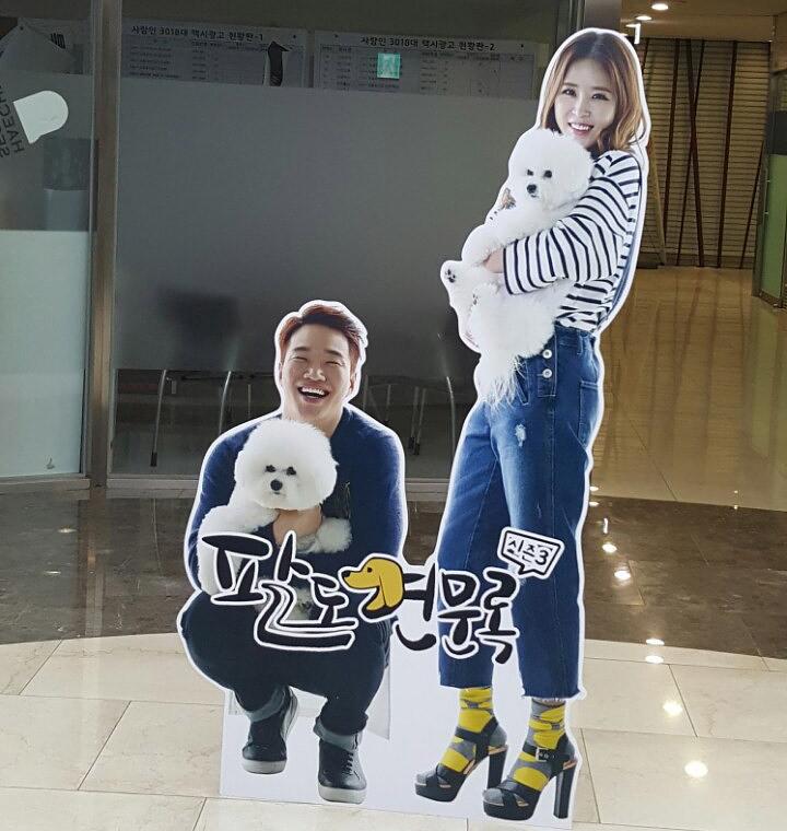 스카이TV 프로그램