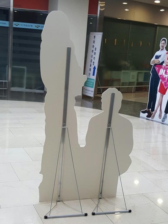 스카이TV 프로그램
