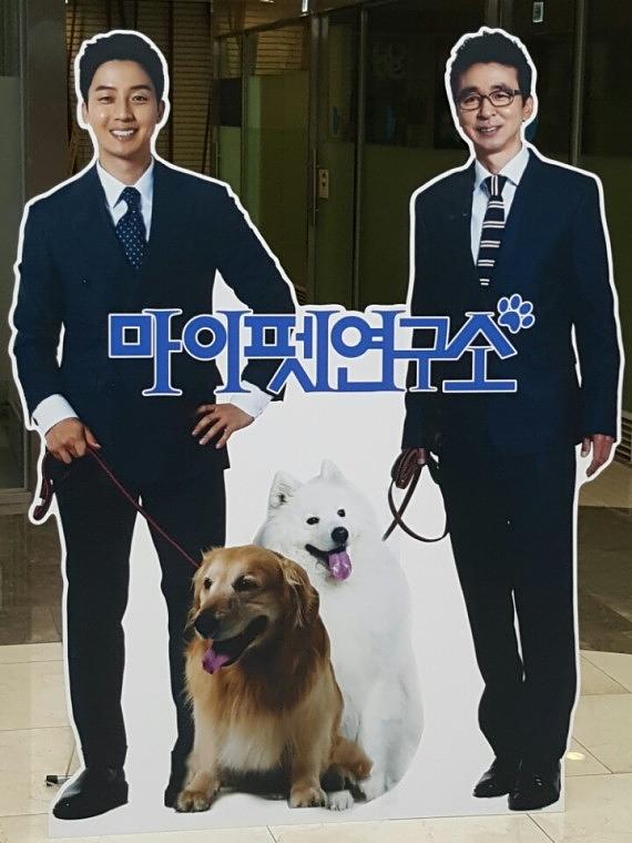 스카이TV 프로그램 마이팻 등 전체 제작물