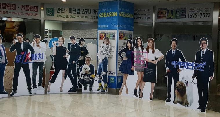 스카이TV 프로그램 마이팻 등 전체 제작물