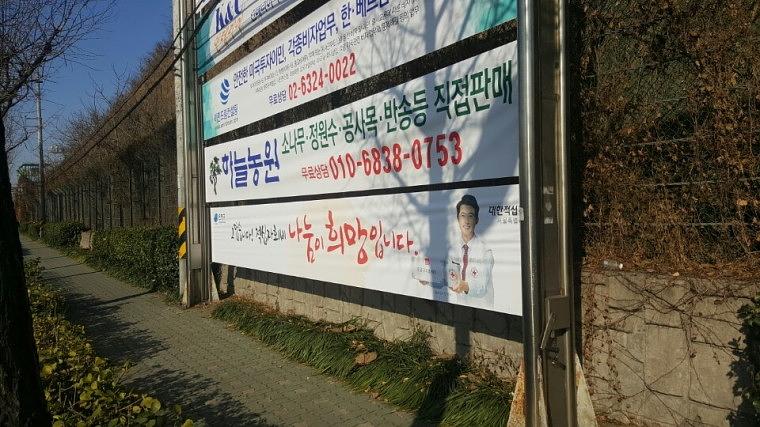 적십자 현수막 500EA 서울시 동사무소 전국 설치