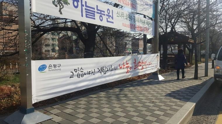 적십자 현수막 500EA 서울시 동사무소 전국 설치