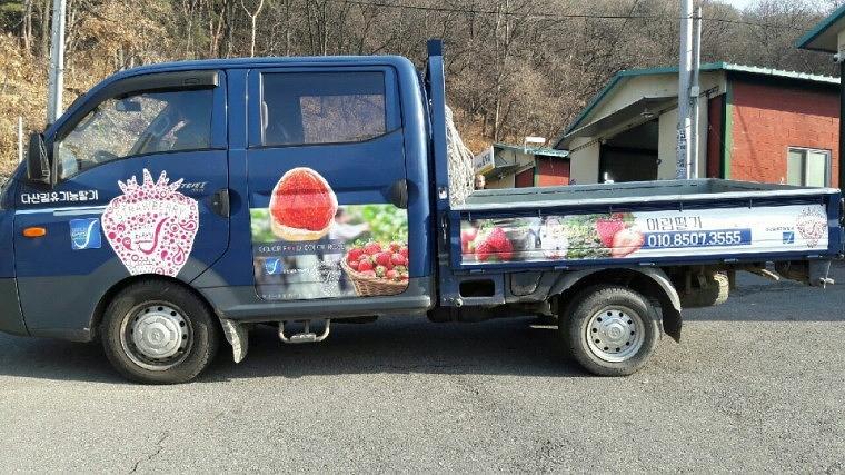유기농딸기 1톤라보 랩핑