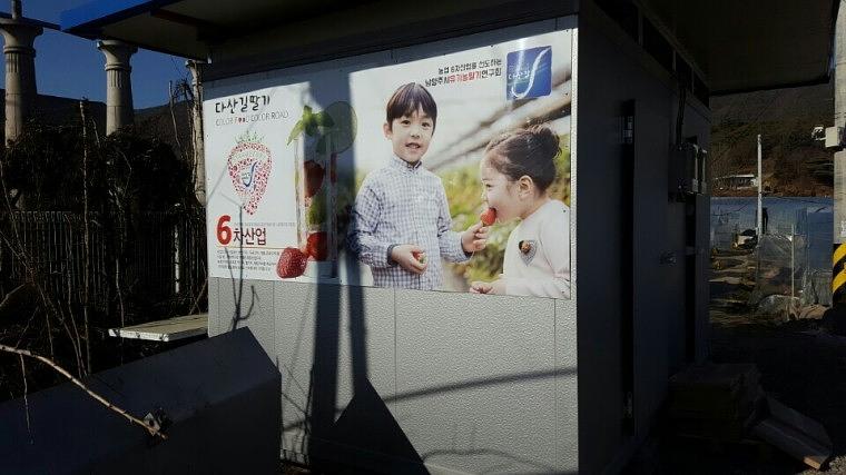 남양주 농장 딸기&오디 판넬 시공