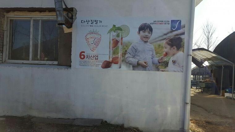 남양주 농장 딸기&오디 판넬 시공