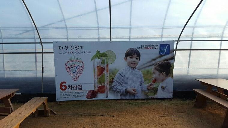 남양주 농장 딸기&오디 판넬 시공