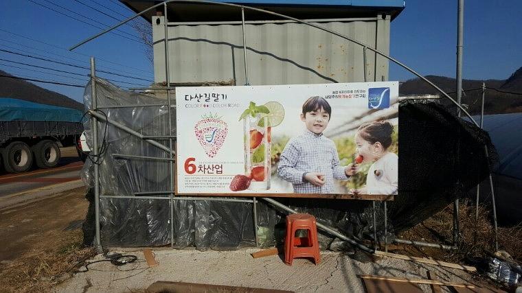 남양주 농장 딸기&오디 판넬 시공