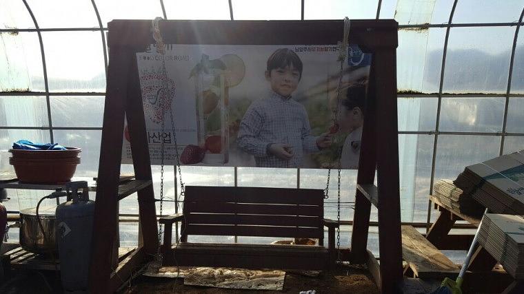 남양주 농장 딸기&오디 판넬 시공