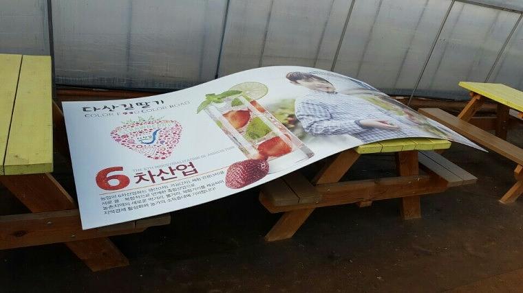 남양주 농장 딸기&오디 판넬 시공