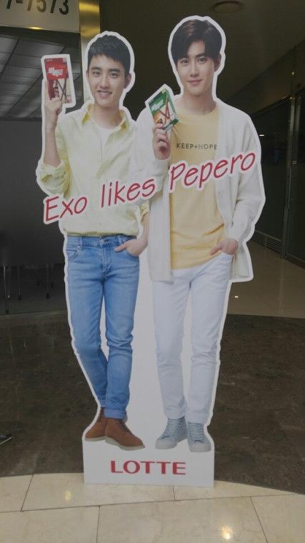 엑소 빼빼로 등신대