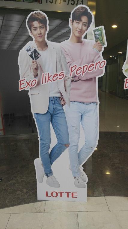 엑소 빼빼로 등신대