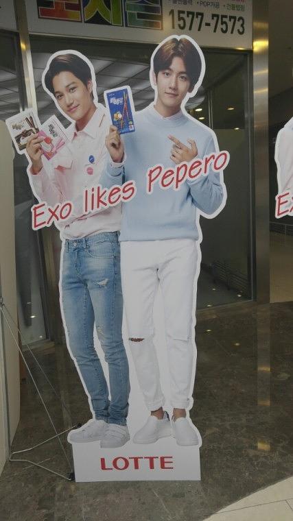 엑소 빼빼로 등신대