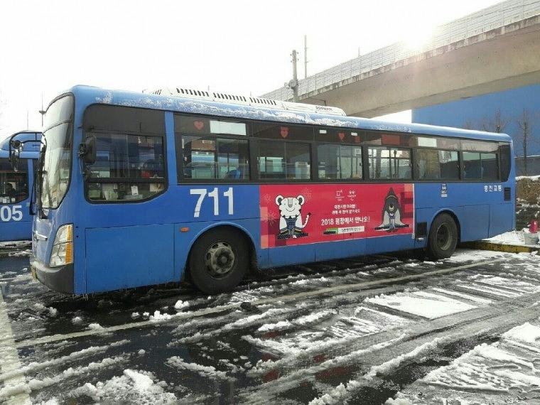 대전시내버스 평창올림픽 홍보광고 출력ᆞ시공