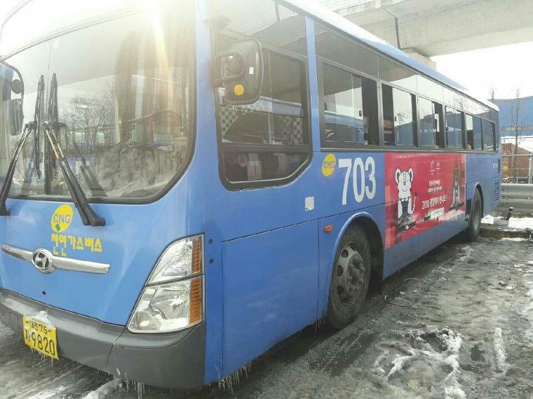 대전시내버스 평창올림픽 홍보광고 출력ᆞ시공