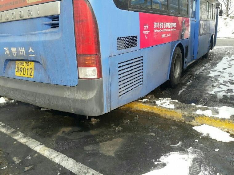 대전시내버스 평창올림픽 홍보광고 출력ᆞ시공